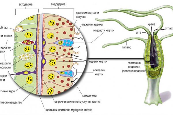 Кракен современный даркнет маркет плейс